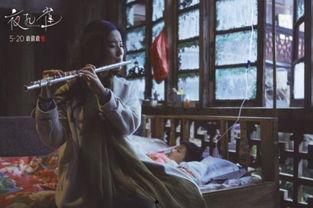 夜孔雀电影在线观看,穿越时空的美丽邂逅