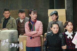 野山鹰电视剧在线观看,揭秘抗战英雄的传奇人生