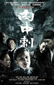 电视剧独刺在线观看,揭秘暗杀风云，揭秘幕后真相！