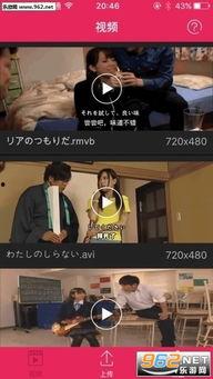 琪琪电影手机在线观看,手机在线观看，畅享影视盛宴